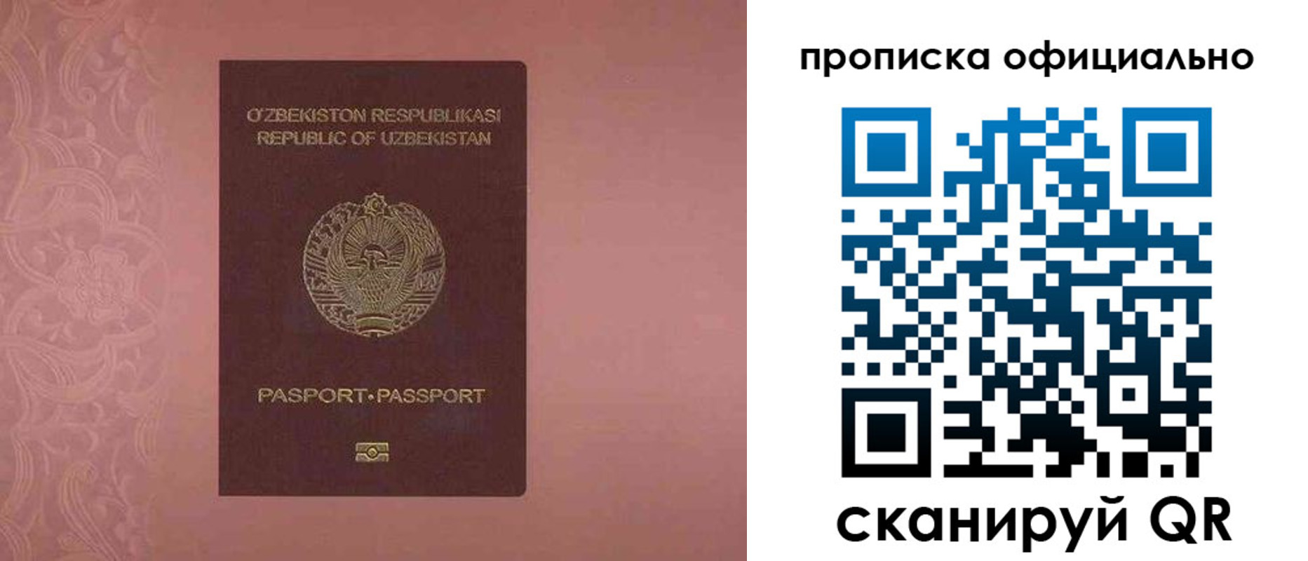 прописка гарантия в Новотроицке